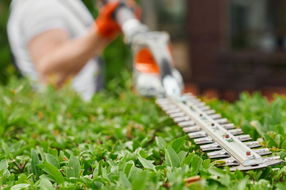 Why-KLG-Is-the-Best-Landscaping-Company-in-Dubai