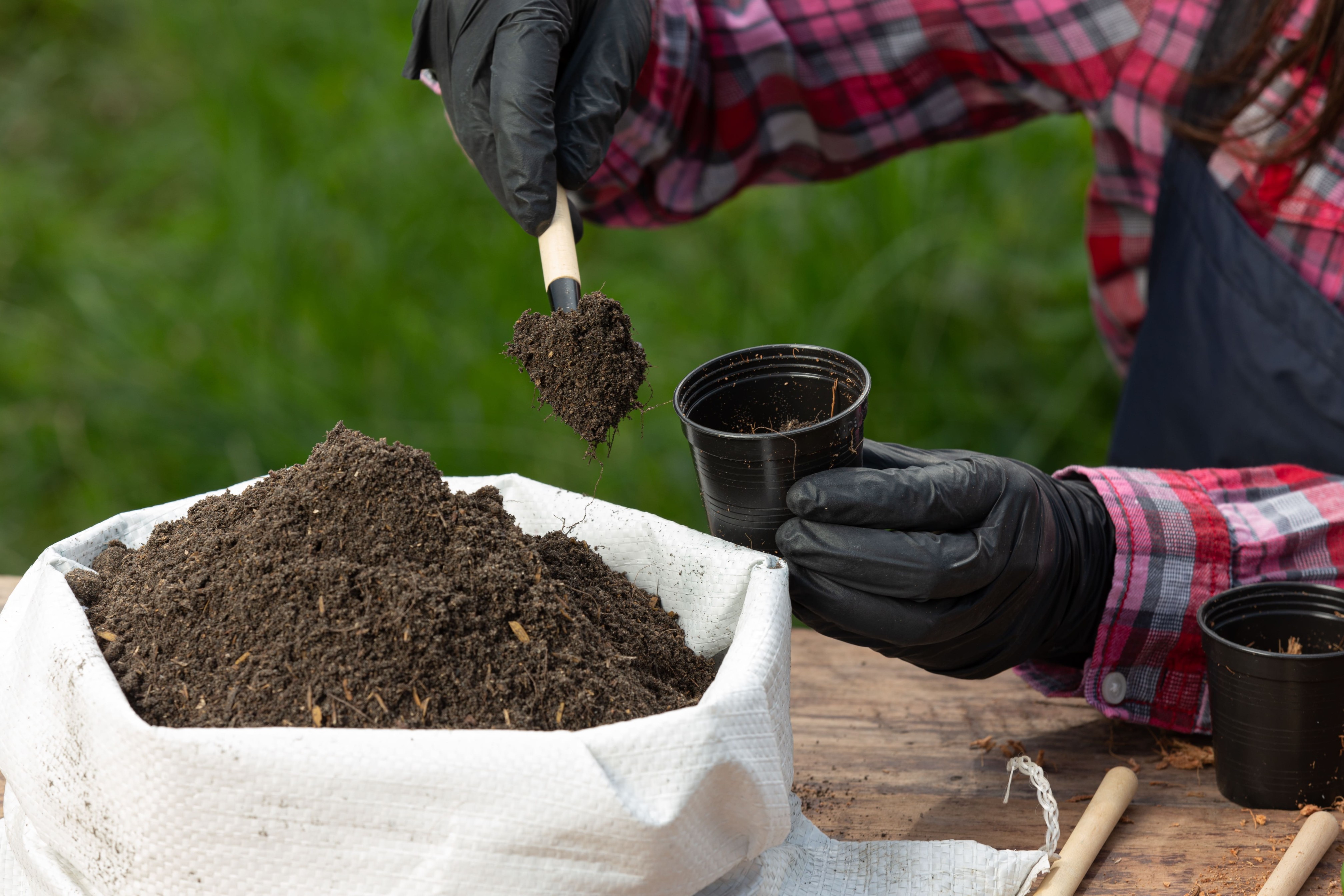 closeup-picture-gardener-s-hands-planting-plant-1-1