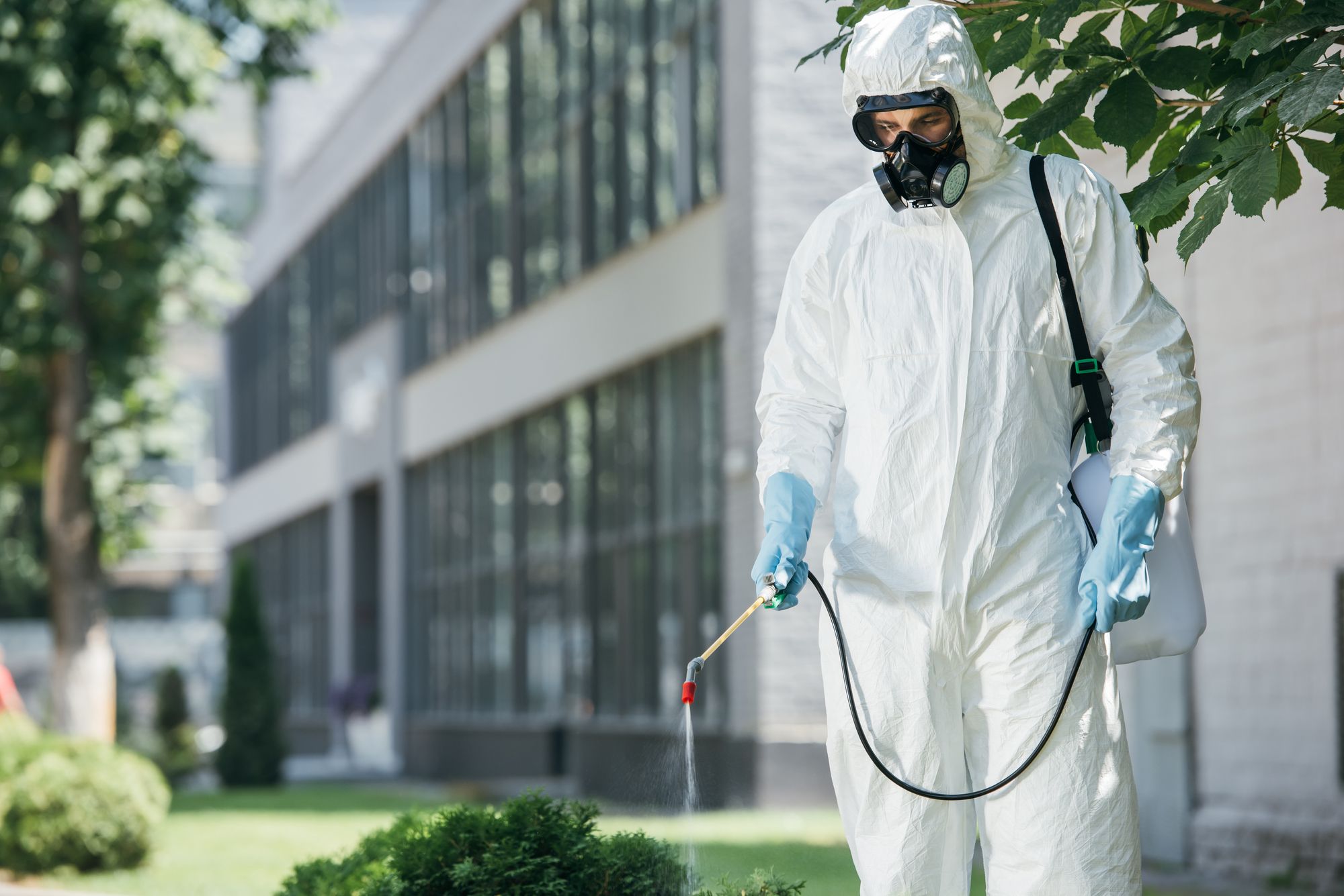 Commercial-Pest-Control-