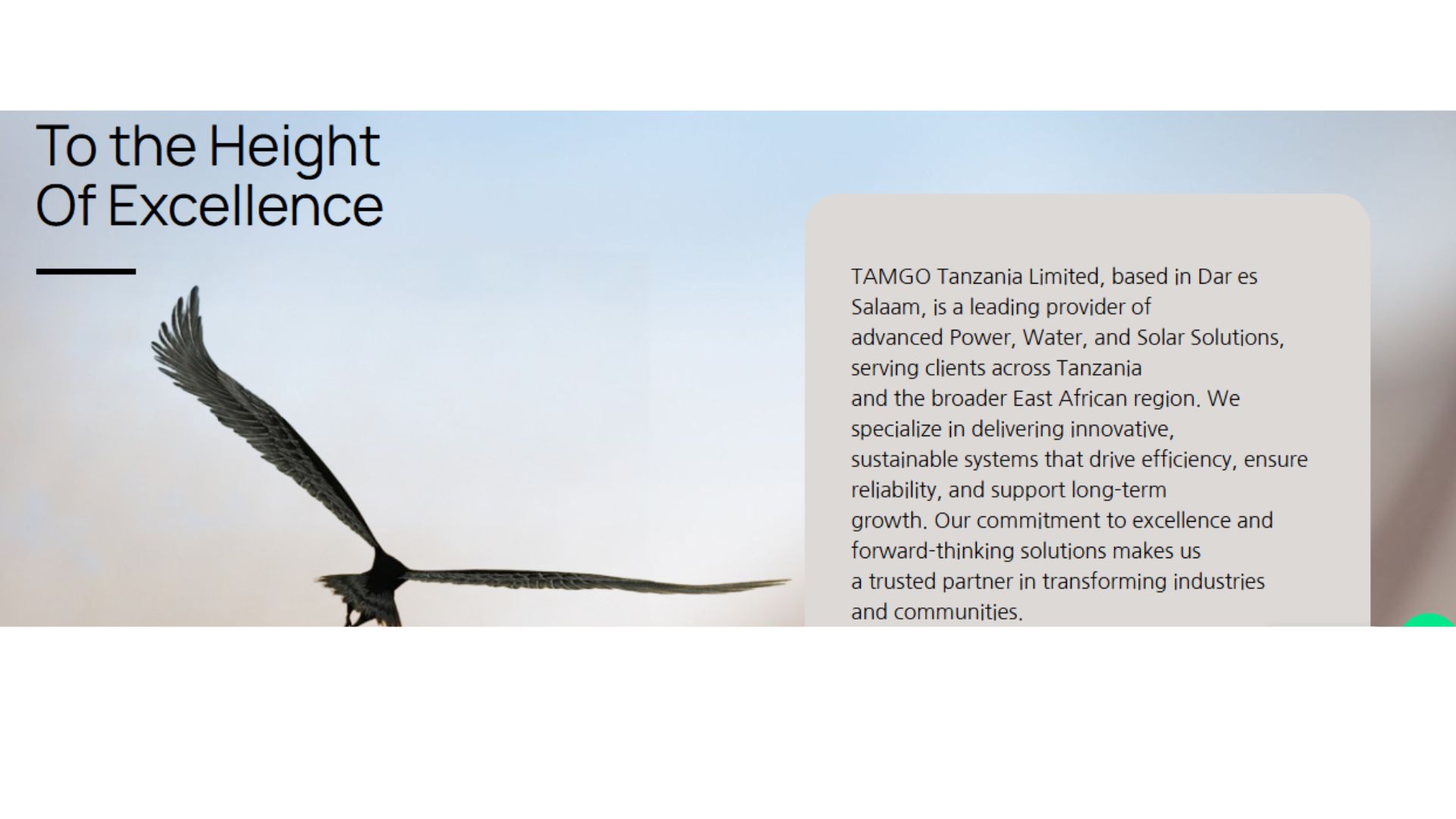 Tamgo-bACKGROUND-IMAGE