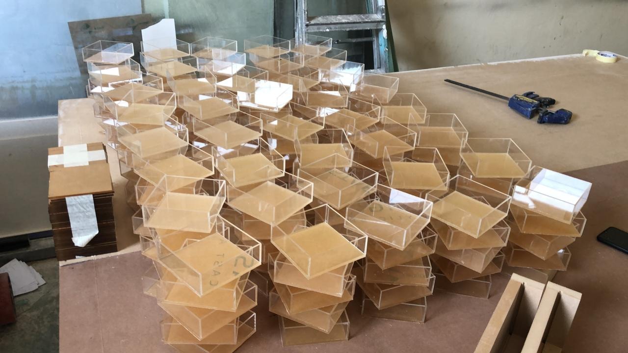 WhatsApp-Image-2026-02-02-at-11.16.17-AM