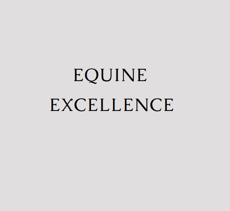 Equineexcellenceme-logo
