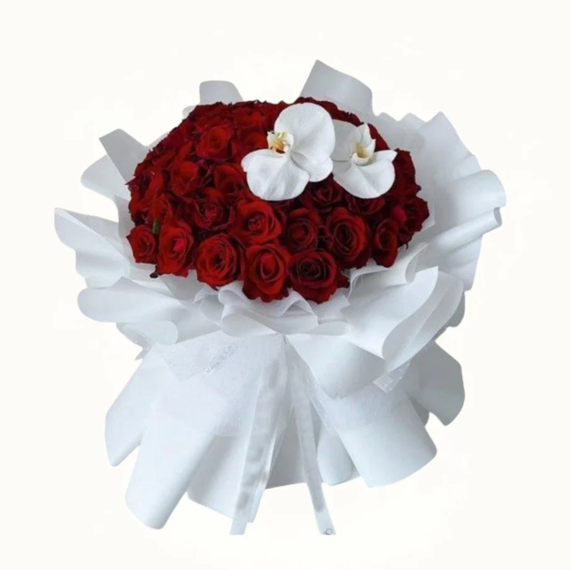 Screenshot-2026-03-08-004218