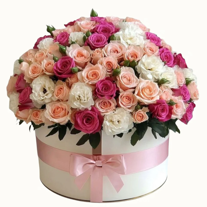 Screenshot-2026-03-08-004421