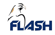Flash-logo-1